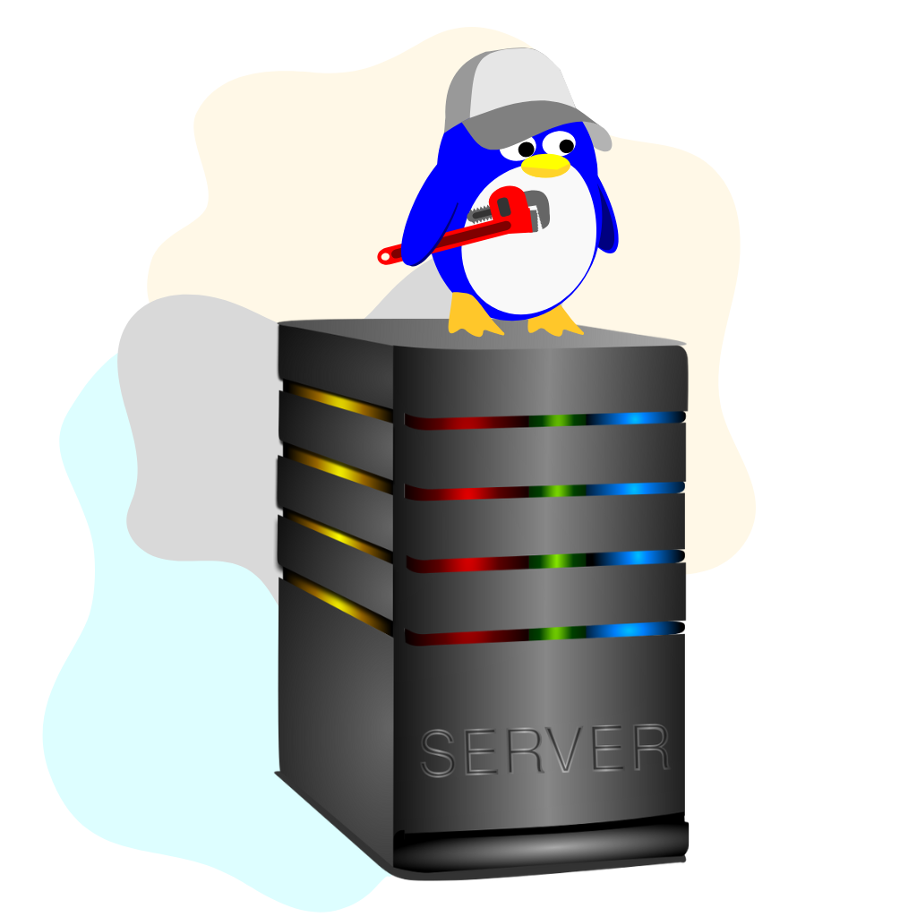 Linux server installation in Okla Delhi